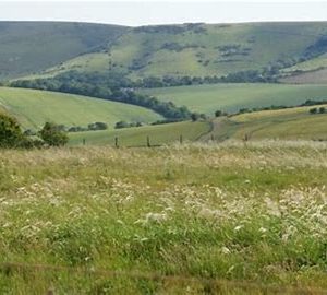 Overnight adventure into the heart of the South Downs - EVENT CANCELLED!